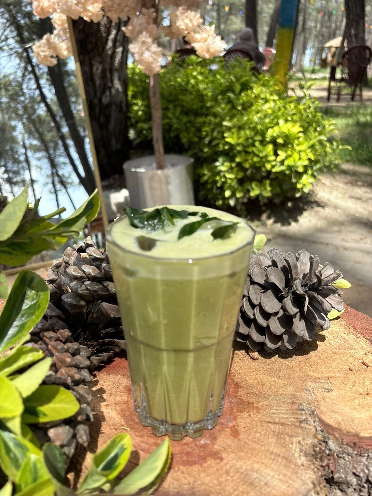 KOZALAK DETOX